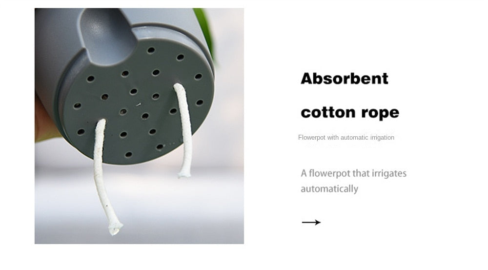 Automatic Water-Absorbing Flowerpot (8 Inch)