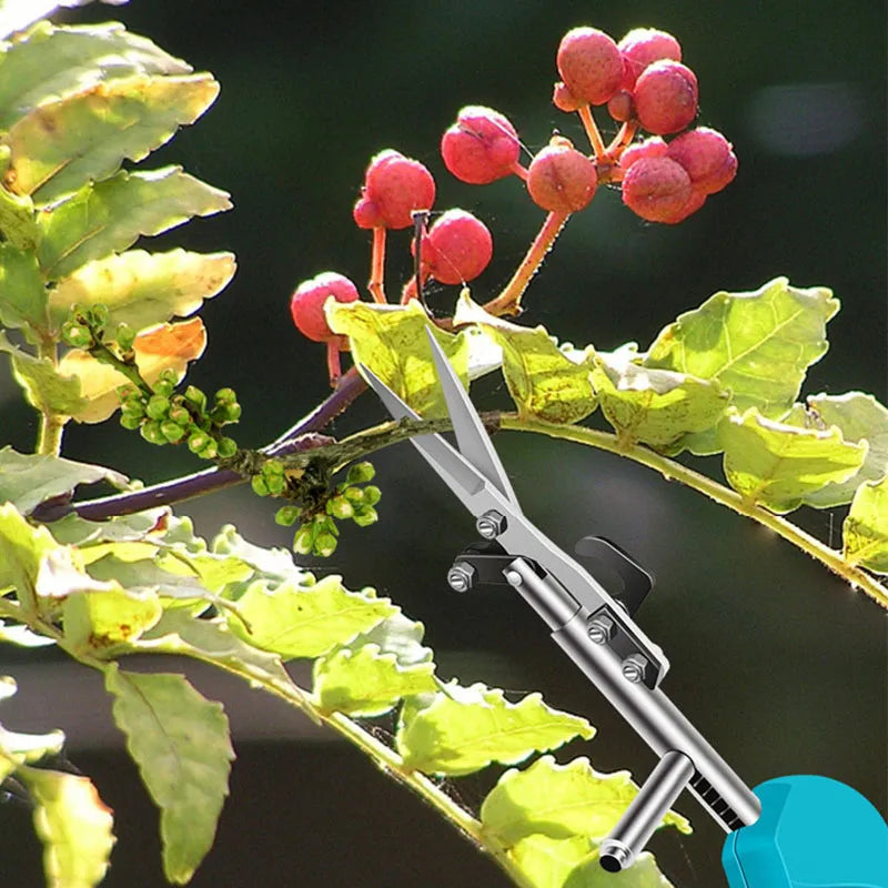 Gardening Scissor With Safety Lock