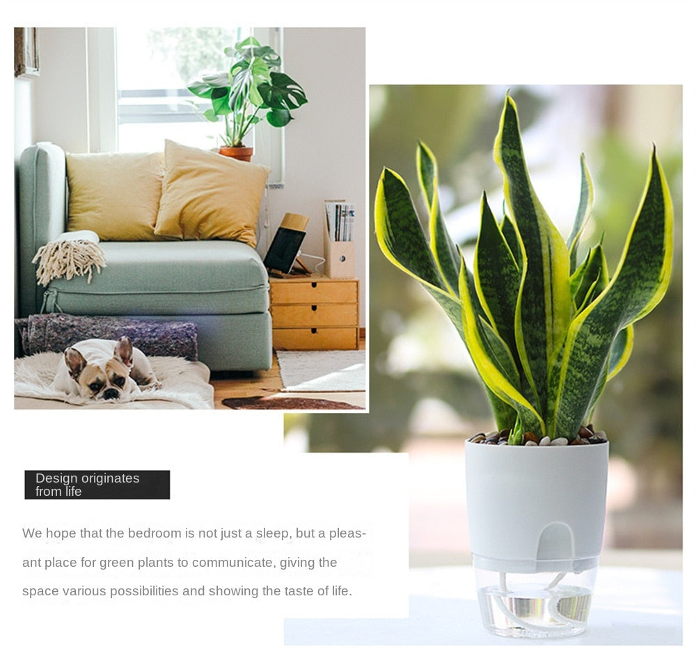 Automatic Water-Absorbing Flowerpot (8 Inch)