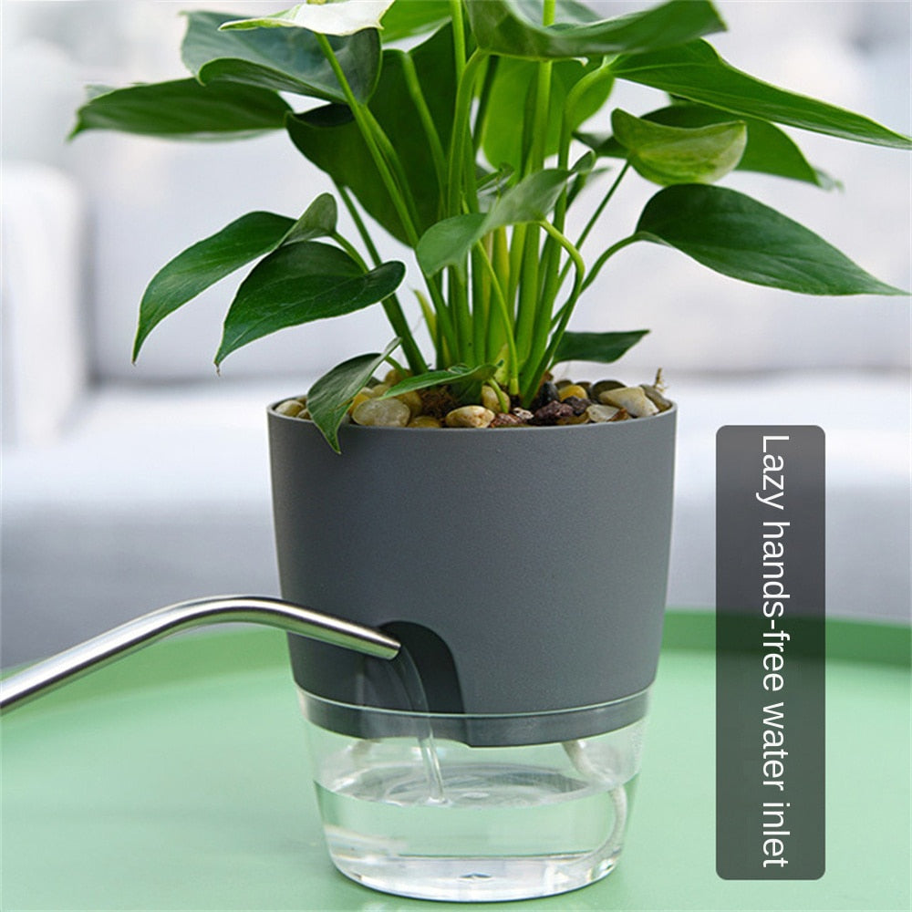 Automatic Water-Absorbing Flowerpot (8 Inch)