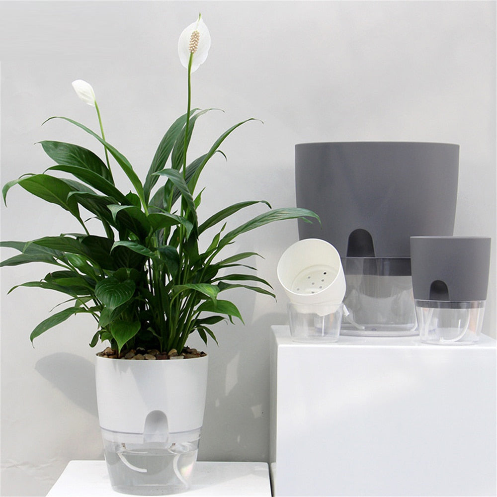 Automatic Water-Absorbing Flowerpot (8 Inch)